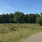 Coastal Dreaming 別荘 *