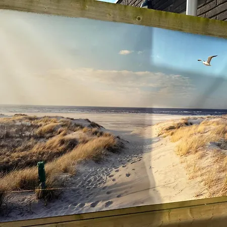 Coastal Dreaming