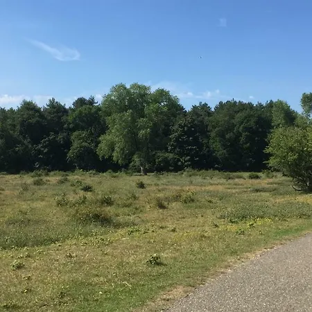 Coastal Dreaming Tatil Evi *