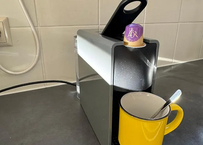 Coastal Dreaming * 海边的艾格蒙特