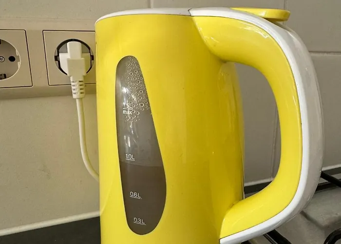 Coastal Dreaming 海边的艾格蒙特