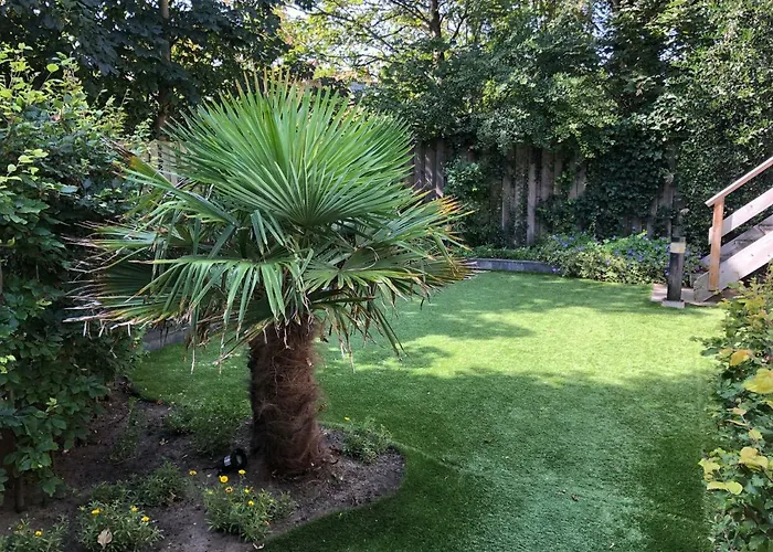 Coastal Dreaming Nyaraló *